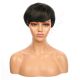 DM1707327-v4 - Short Highlighted Black Synthetic Hair Wig With Bang